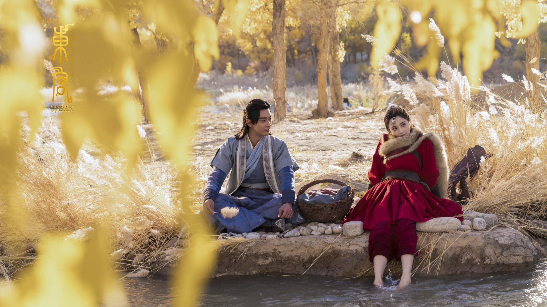 历史传奇：那些永远铭记的篮球之夜，篮球大历史歌曲