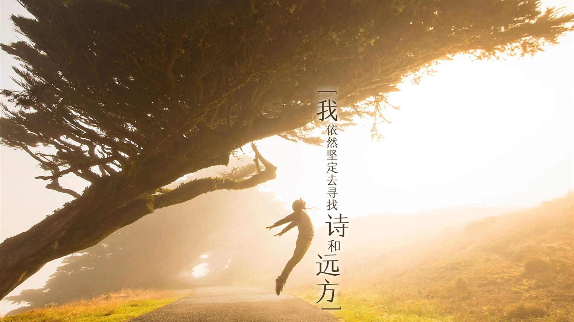 国际奥委会致谢瑞士：为雪地足球树立新典范，奥运会瑞士代表团