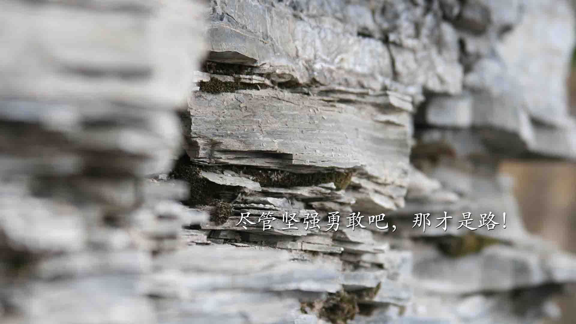 《英雄联盟》与《DOTA2》全球总决赛谁更胜一筹？，《英雄联盟》与《dota2》全球总决赛谁更胜一筹