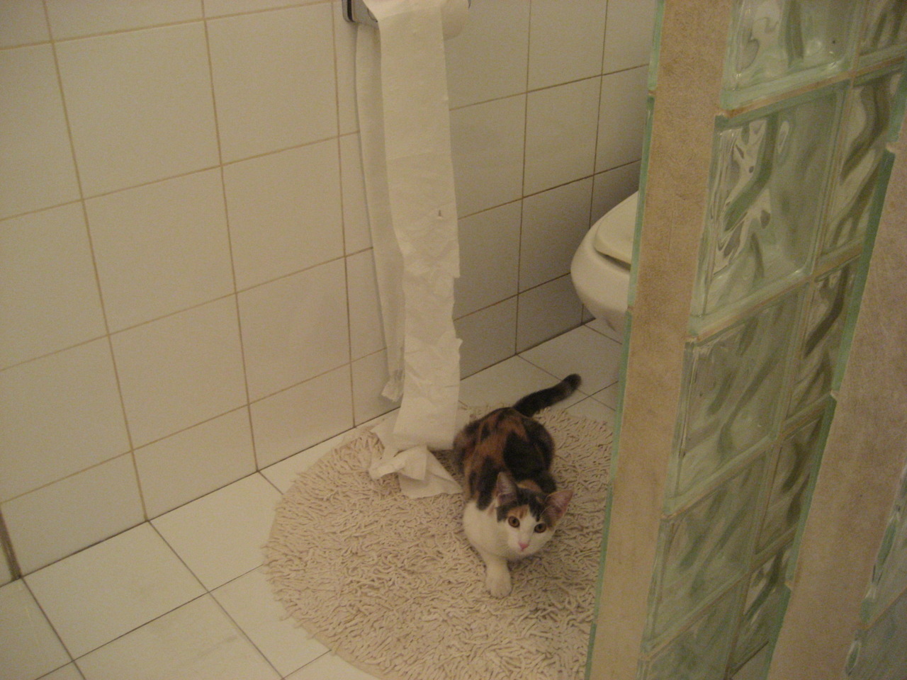 九游登录中心-【丁俊晖】跨年度训练秘籍：攻防兼备的制胜诀窍，丁俊晖是如何练成的