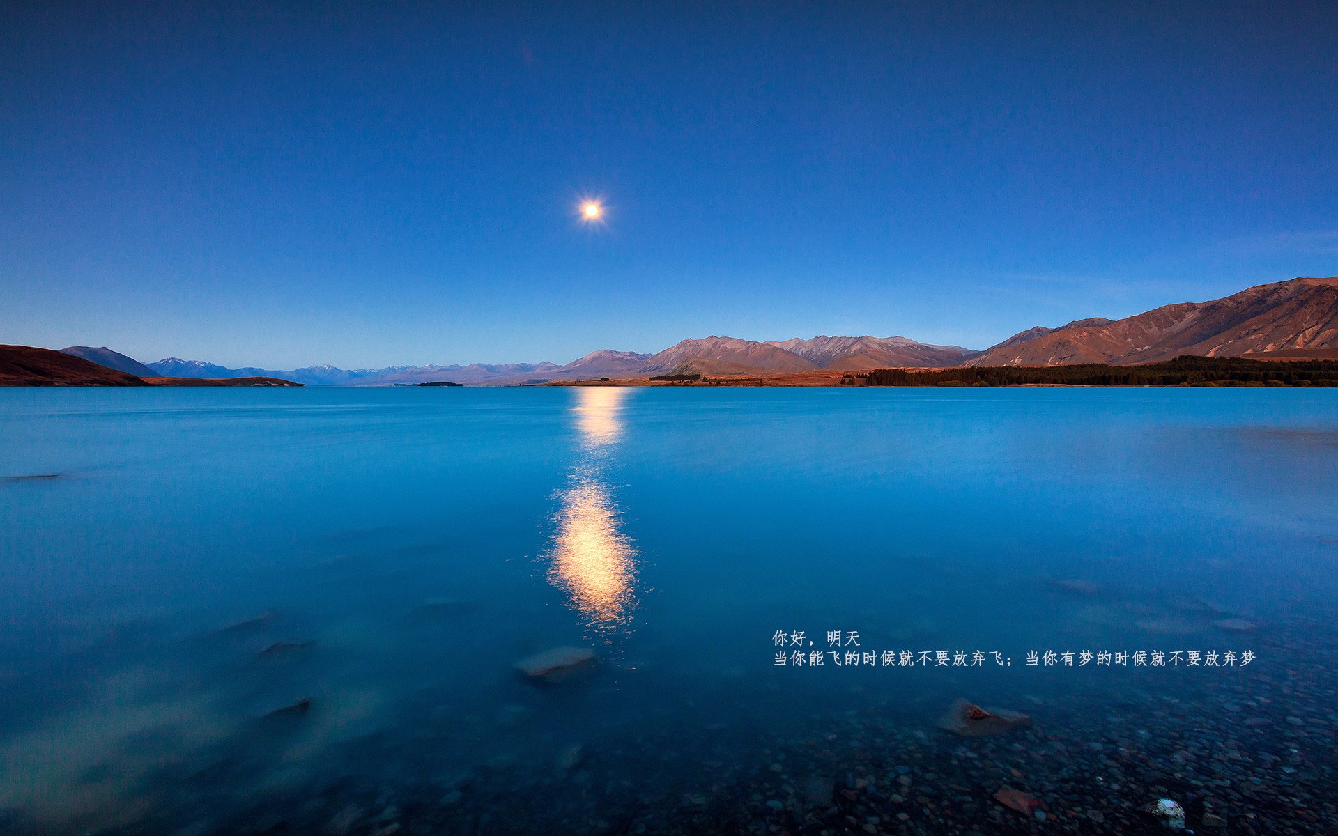 九游jiuyou-传统文化武术操大赛，青春身手展现民族魅力，武术操介绍